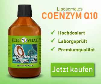 ECHT VITAL LIPOSOMALES COENZYM Q10 - 1 Flasche mit 250 ml 