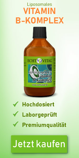  ECHT VITAL LIPOSOMALES VITAMIN B KOMPLEX - 1 Flasche mit 250 ml