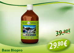 Base Biopro 1 Flasche