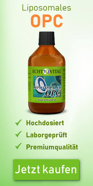 ECHT VITAL LIPOSOMALES OPC - 1 Flasche mit 250 ml 
