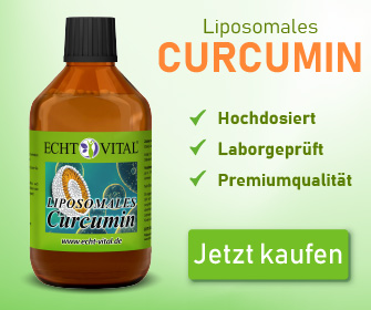  ECHT VITAL LIPOSOMALES CURCUMIN - 1 Flasche mit 250 ml