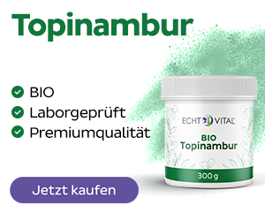 ECHT VITAL BIO TOPINAMBUR - 1 Dose mit 300 g Pulver
